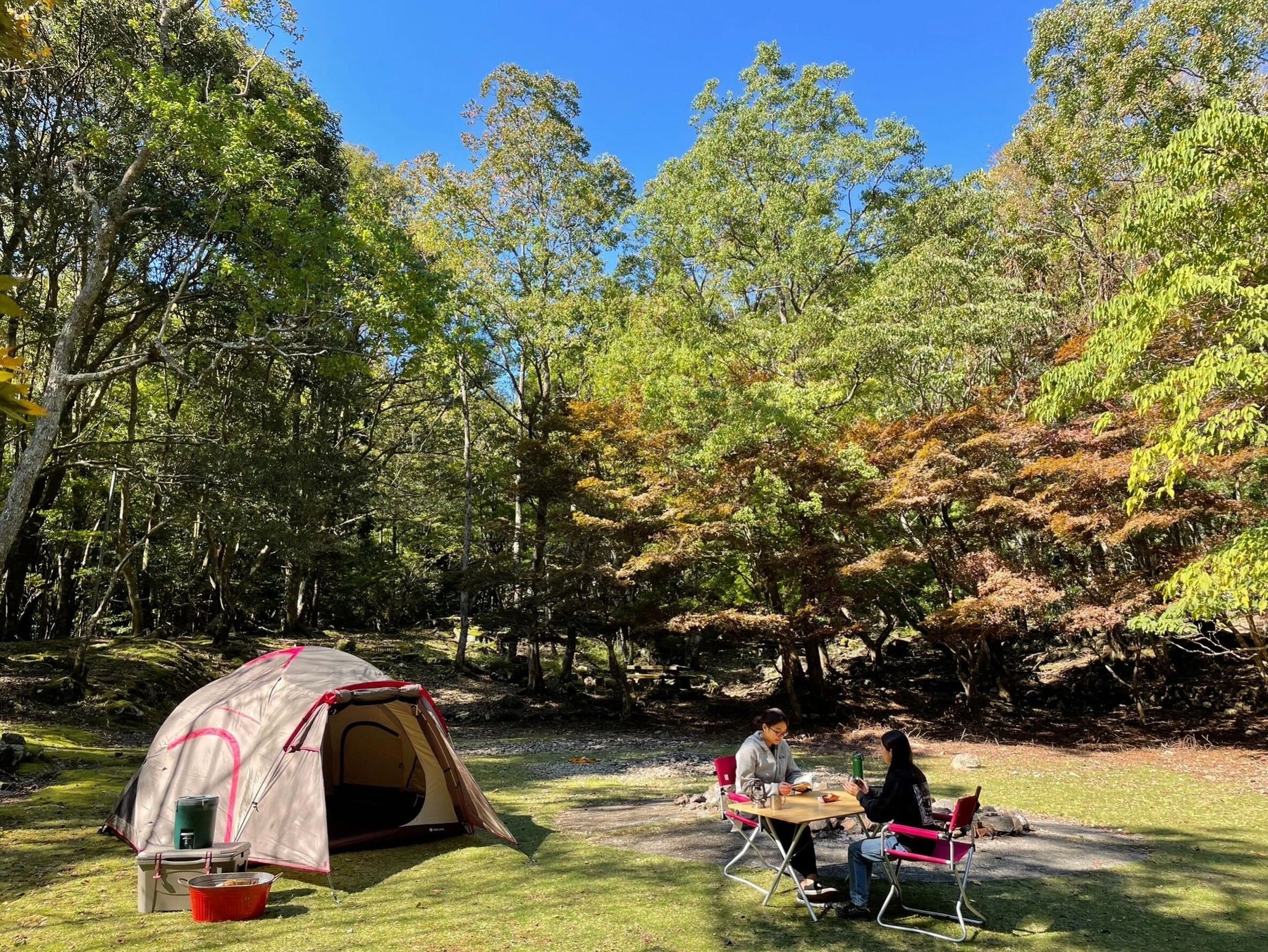1日1組限定！初めてのキャンプは足摺宇和海国立公園 滑床渓谷の森で！キャンプディレクターがお手伝いするキャンププランを水際のロッジが販売開始します。