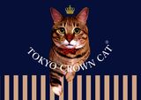 TOKYO CROWN CATが「ザ・ガーデン自由が丘  ペリエ千葉店」のアニママルシェコーナーに初登場！