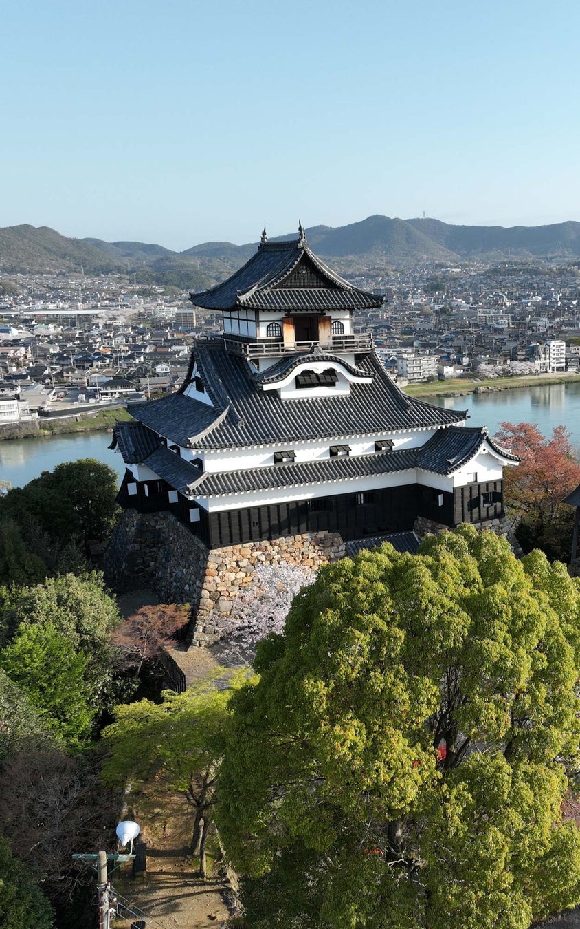 地域間交流の「中日青少年修学旅行セミナー」が4年ぶりに再開