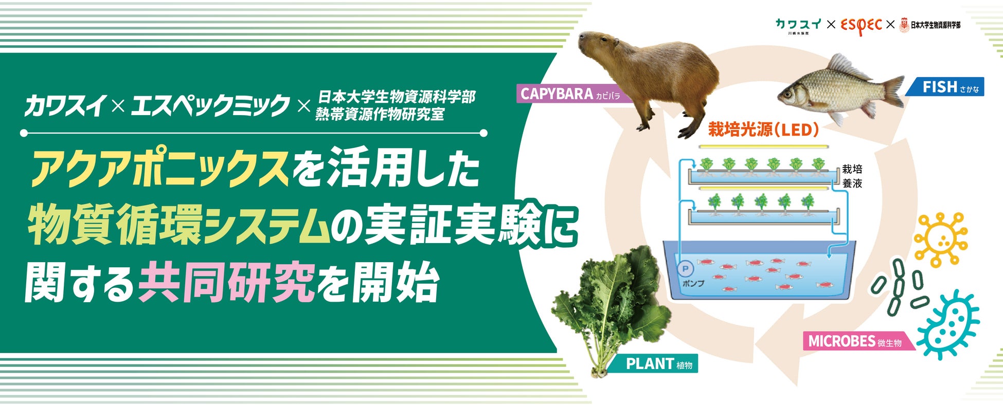 世界自然遺産“やんばる”に位置するオクマ プライベートビーチ ＆ リゾート、開業45周年を記念し最高客室「グランドコテージ」 16室が新たに誕生。