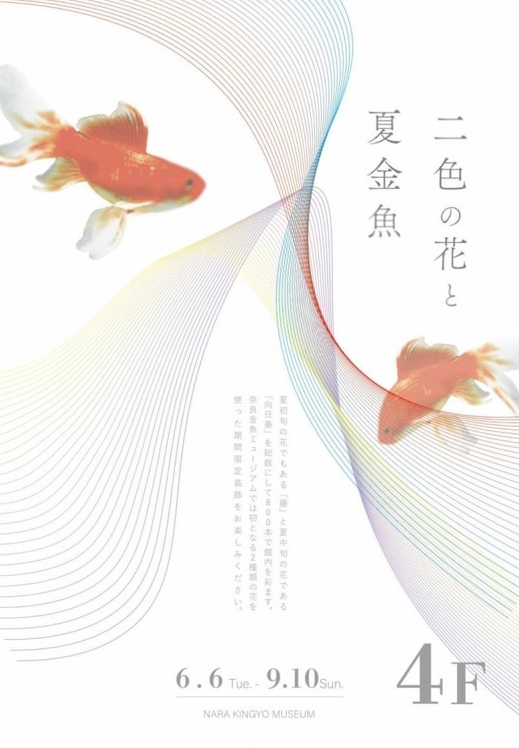 【志摩スペイン村】
7月1日（土）～8月31日（木）「サマーフィエスタ」の実施