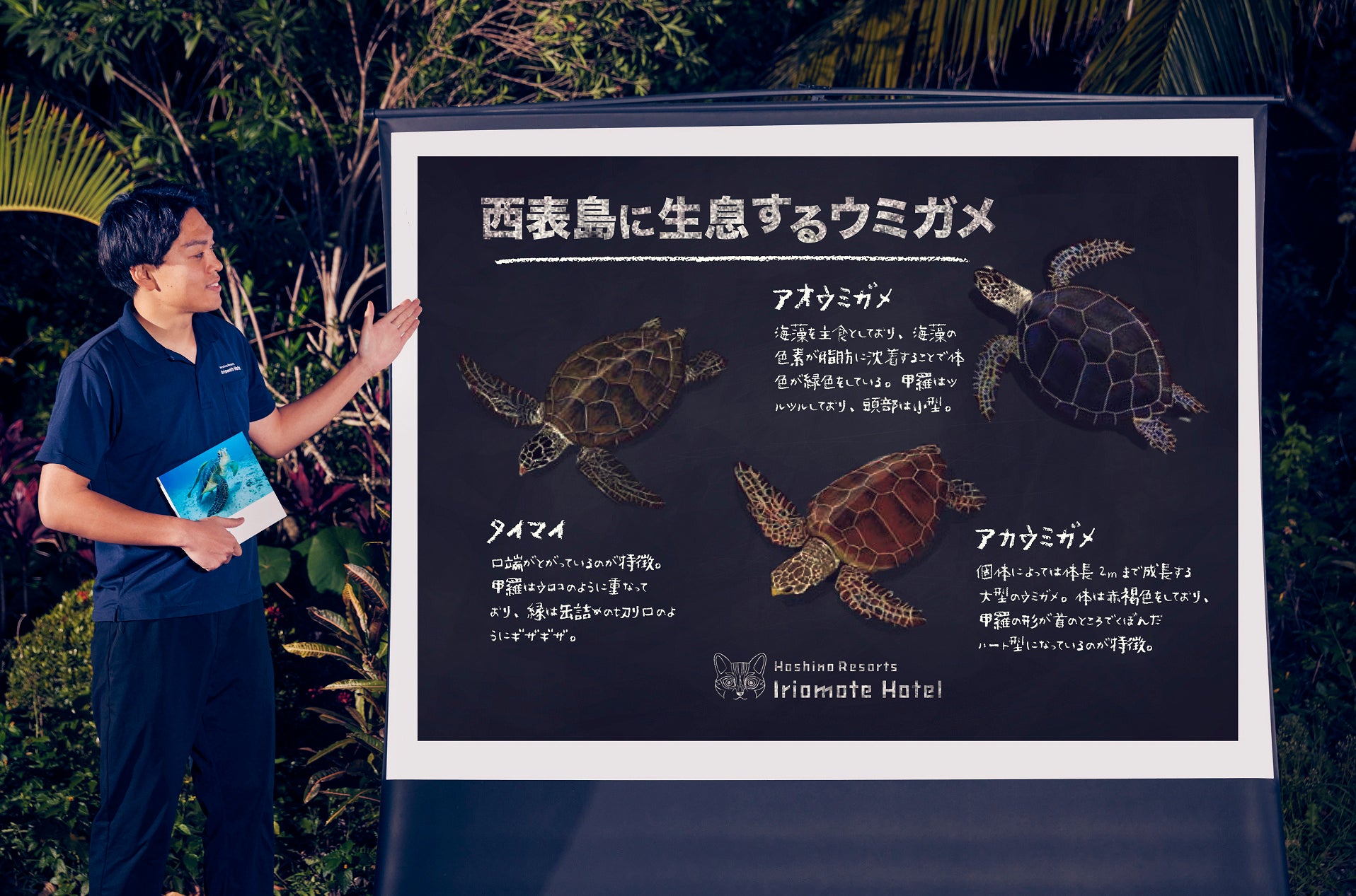 【西表島ホテル】日本最南端の国立公園でウミガメについて楽しく学ぶプログラム「ウミガメの学校」開催｜期間：2023年6月16日〜9月30日