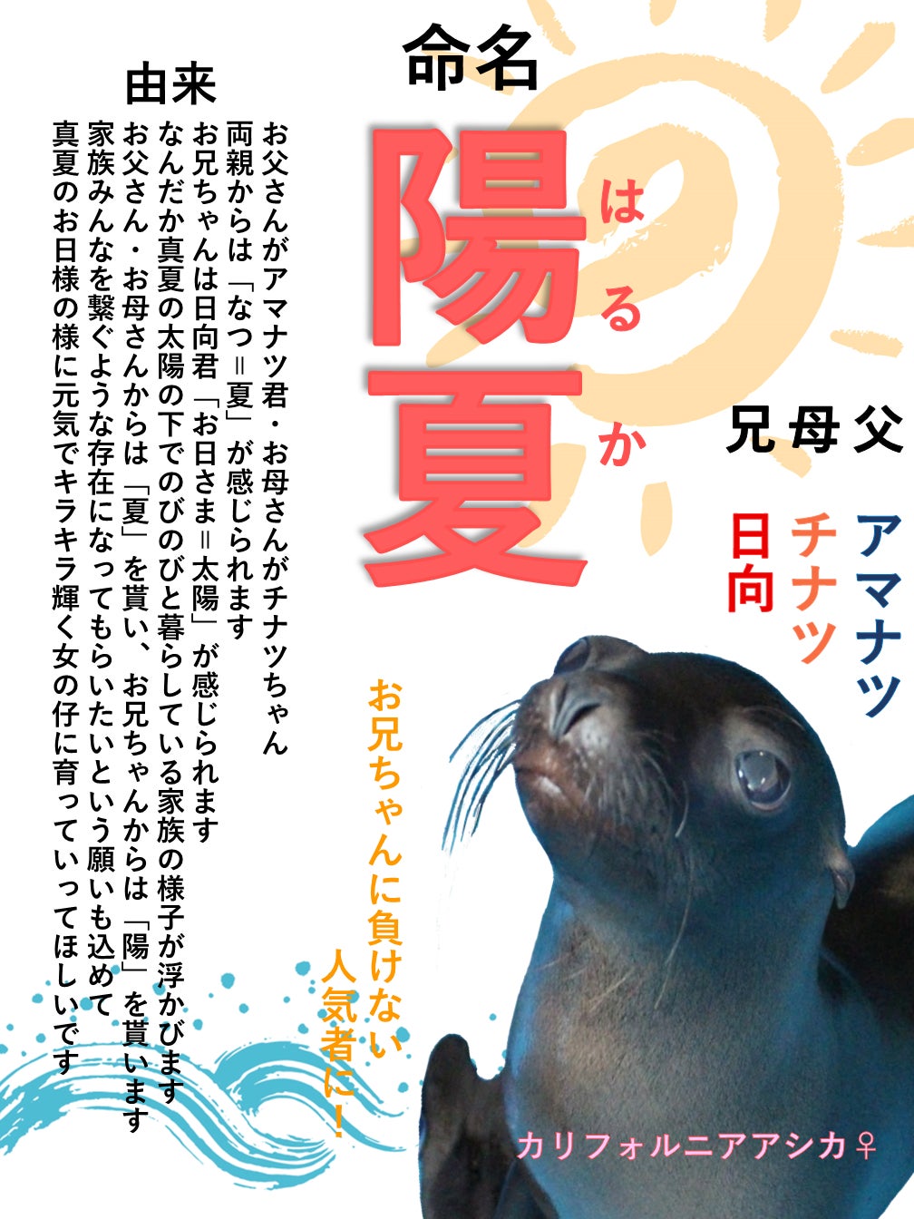 河川敷の夕暮れ時に非日常空間を提供　今年はディナータイムにアルコールも楽しめる「加古川de Sunset リバー Kitchen」