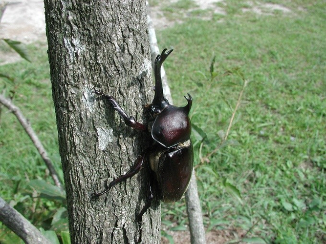 【7月ｲﾍﾞﾝﾄ/受付中】海の見える旧役所支所で7日間自由にワーケーション！小田原市根府川で「U Workcation Week ’23 summer」を開催します