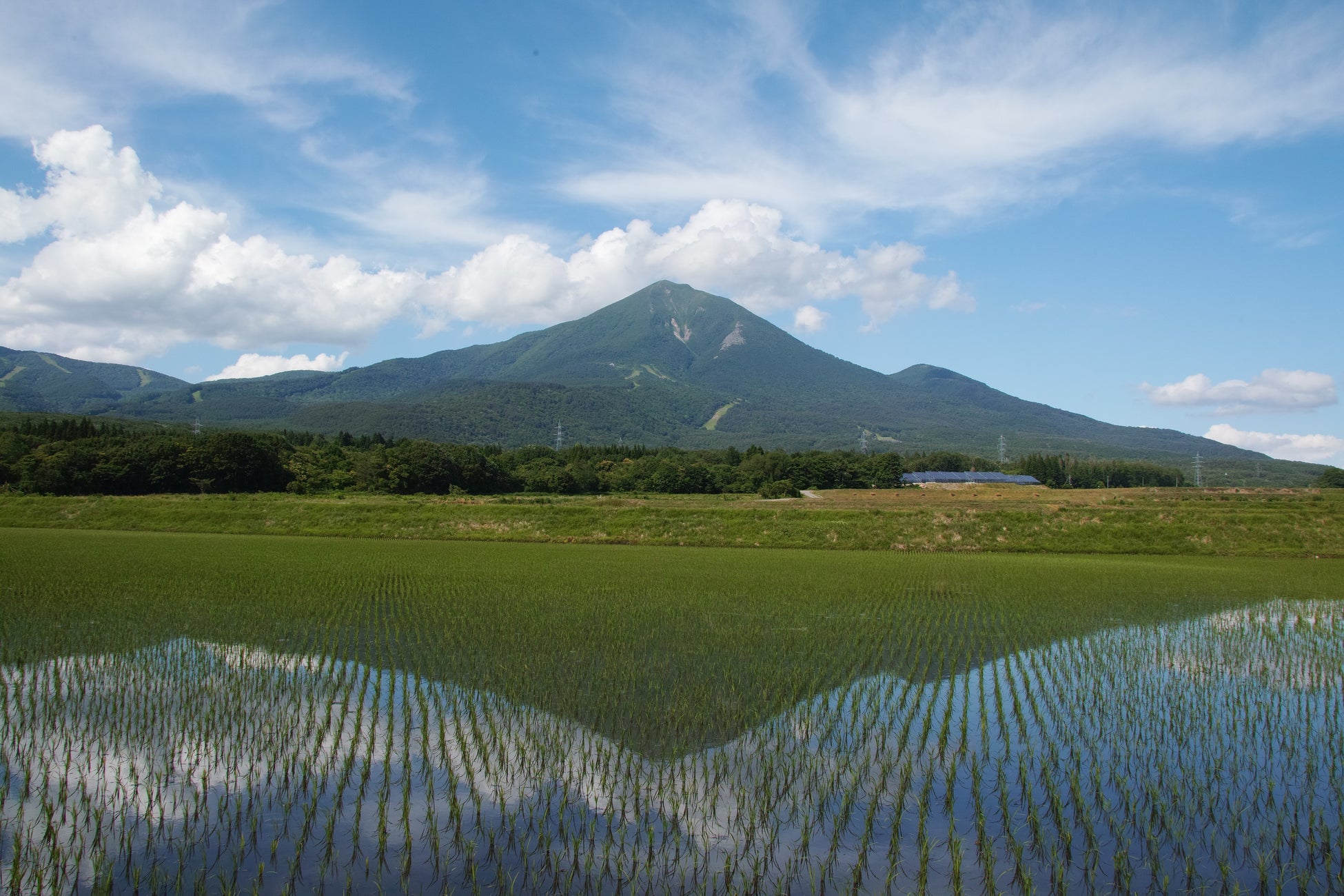 高原BBQやバルーンフライトなど、大自然の中で夏を満喫できるアソビが満載！