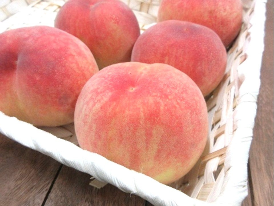 お子様半額&中学生もお子様料金! パーゴラ夏のアジアンエスニックブッフェ開催