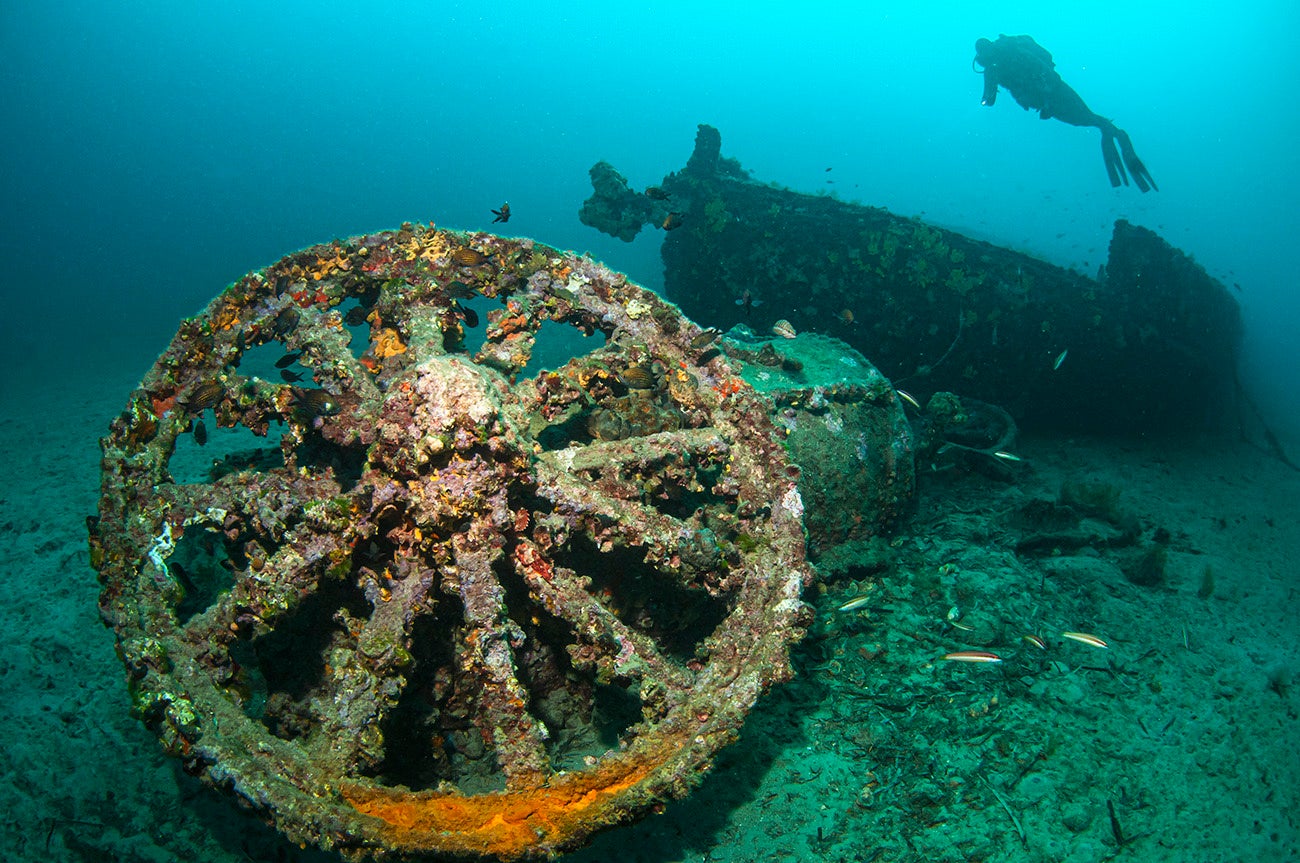 WESTERポイントサービス開始記念 8/31までポイント5倍キャンペーン実施中!