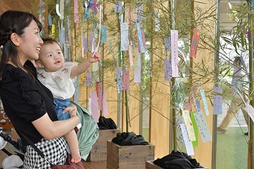 六甲高山植物園 × 伊丹市昆虫館 夏休みイベント「しょくぶつ と むし」7/15（土）～9/24（日）開催！