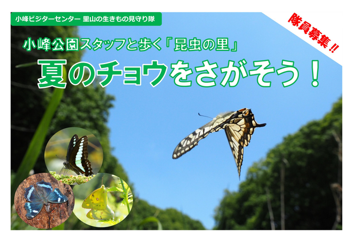 「嵐電沿線フジバカマプロジェクト」 ・7月9日(日)「フジバカマ」の苗を嵐電の10駅へ植栽。 ・7月9日(日)~12日(水)「嵐山温泉『駅の足湯』」が「フジバカマ湯」に。