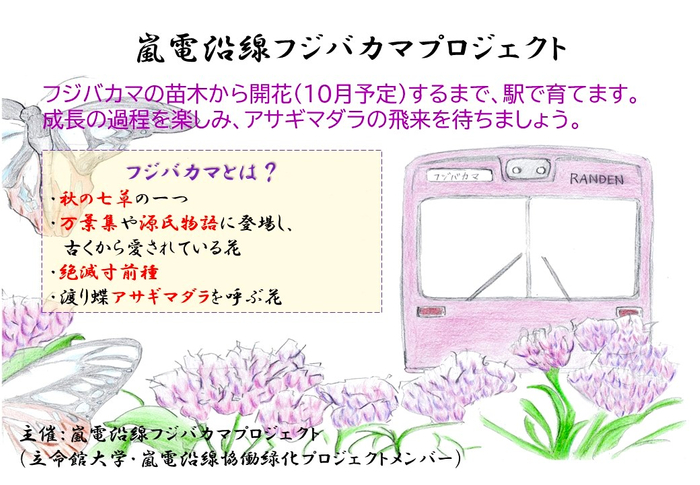 【大阪泉南】 8月26日(土)泉州夢花火が3年越しの開催決定!最新鋭の屋外型ドローンショーも必見!