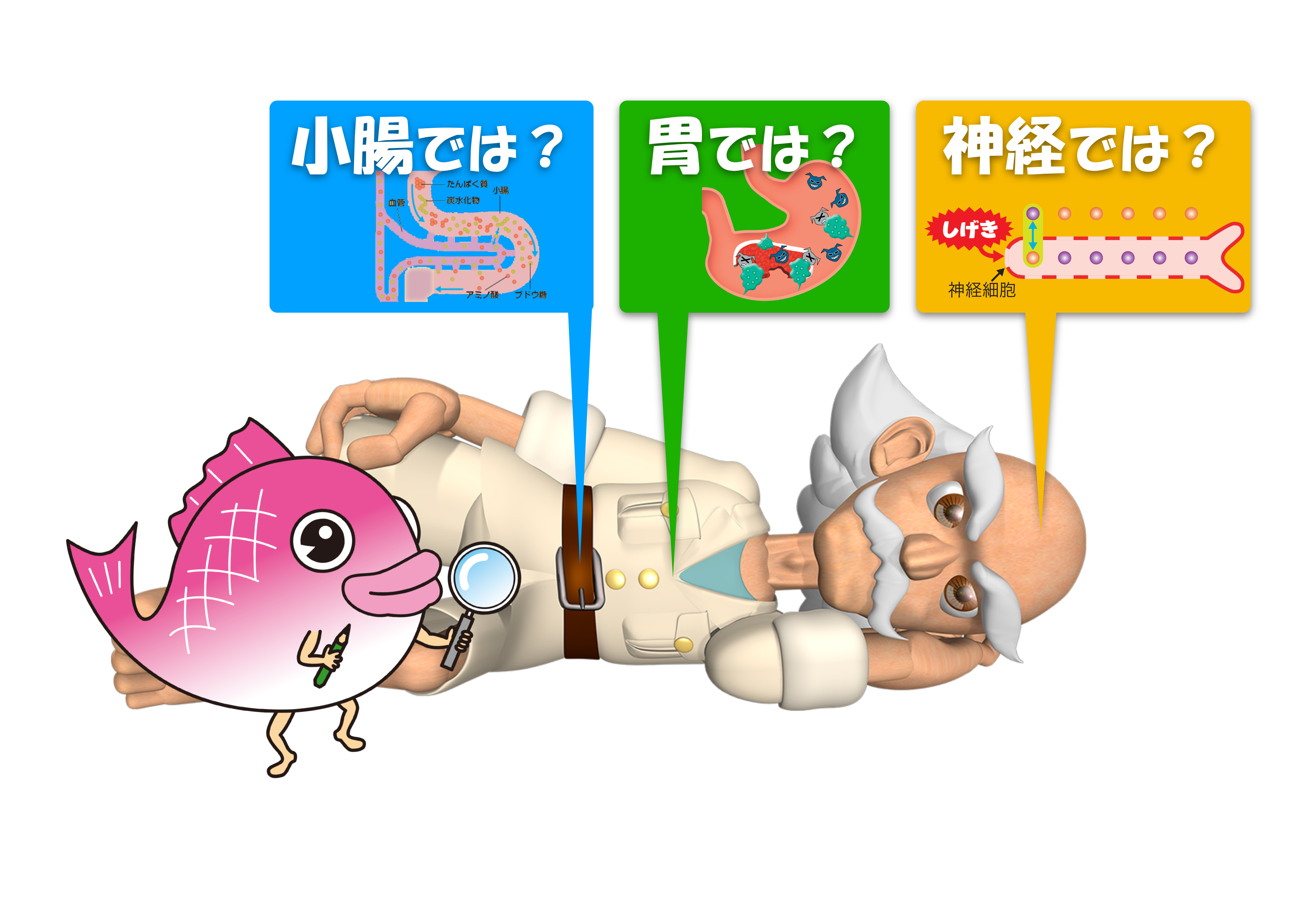 「第37回 星空の映画祭」を8月6日(日)～8月20日(日)開催！