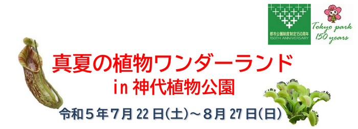 【岡山理科大学 自然フィールドワークセンター】「植物を知る」自然観察会　秋の植物編｜日時：2023年9月16日（土）10:00～開催！参加無料　7月13日より申込開始！