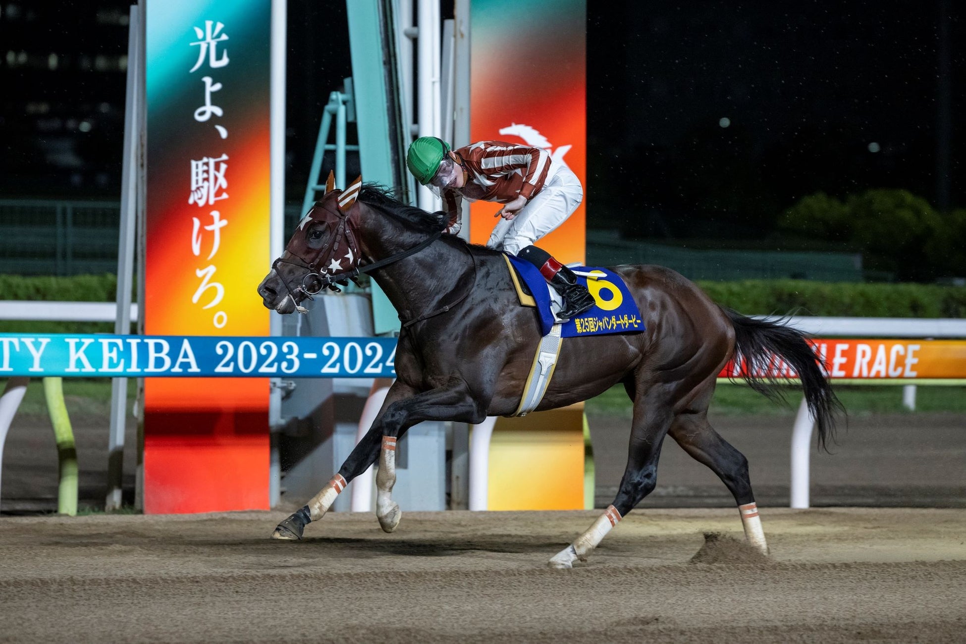 TCKイメージキャラクターの新木優子さんが来場！レース中継番組への出演や表彰式プレゼンター登壇などでジャパンダートダービー当日のTCKを大いに盛り上げました！！