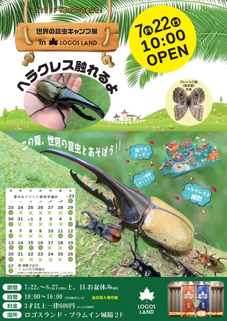 アクアシティお台場にオープン!屋内型ふれあい動物園「アニタッチ」4号店