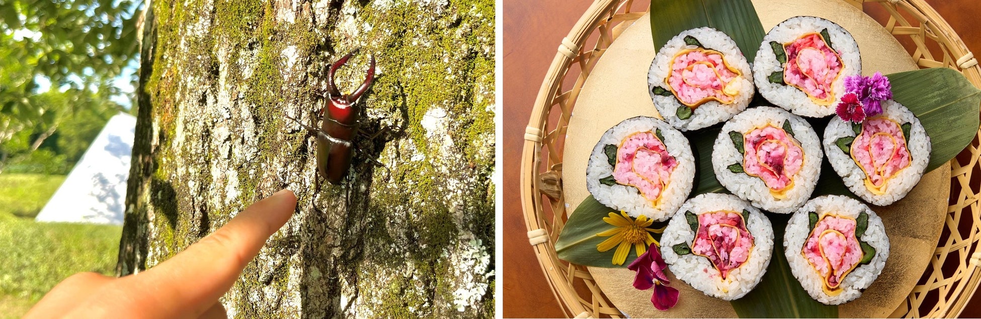 <本日7月14日(金)より実施>集う・祝う・つながる、IHGホテルズ&リゾーツ ミーティング&イベントキャンペーン