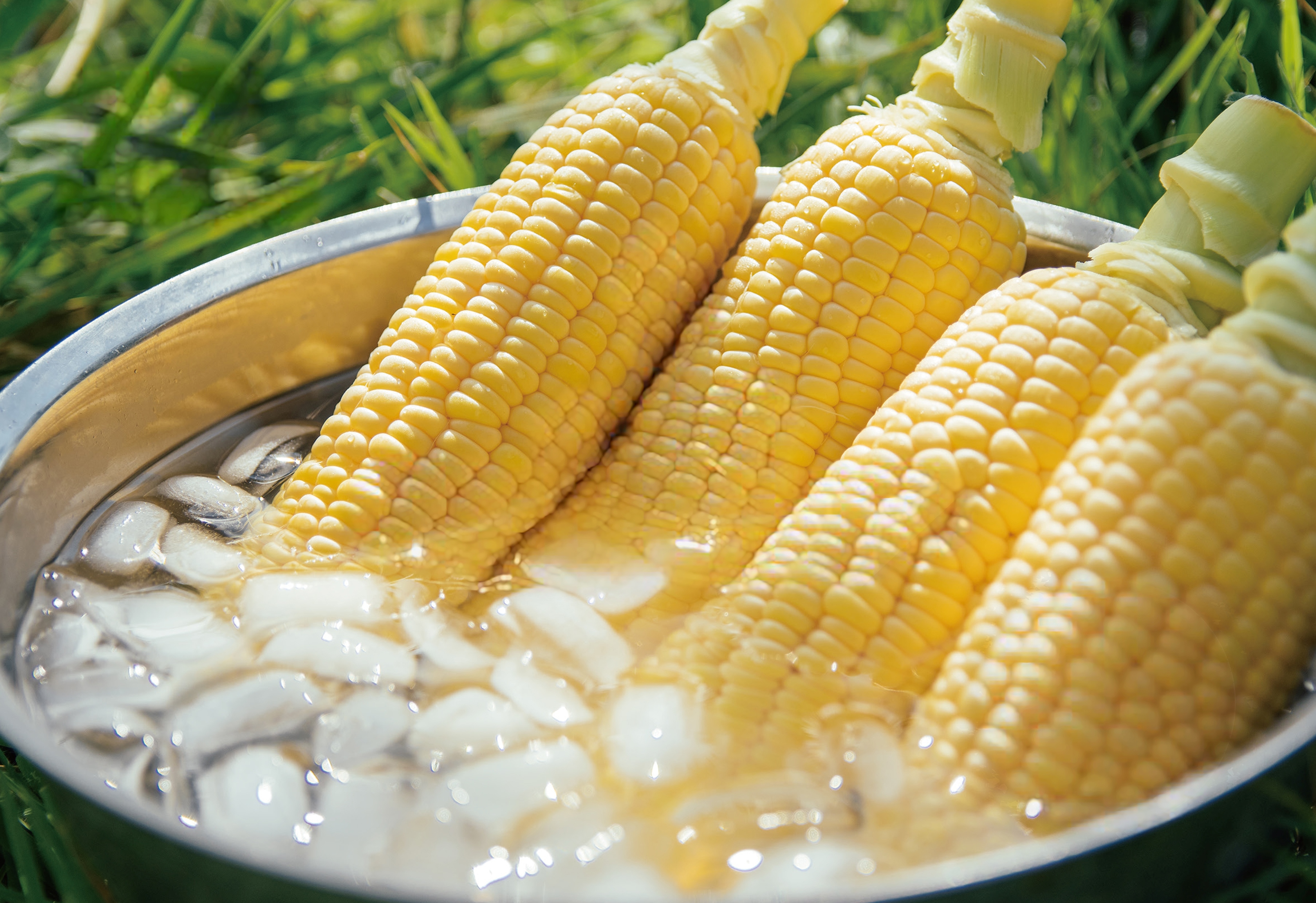 ライトバックパッカー向けアウトドアブランド ZEROGRAM、アイコンテントの新バージョン「El Chalten ZEROBONE v2」をリリース