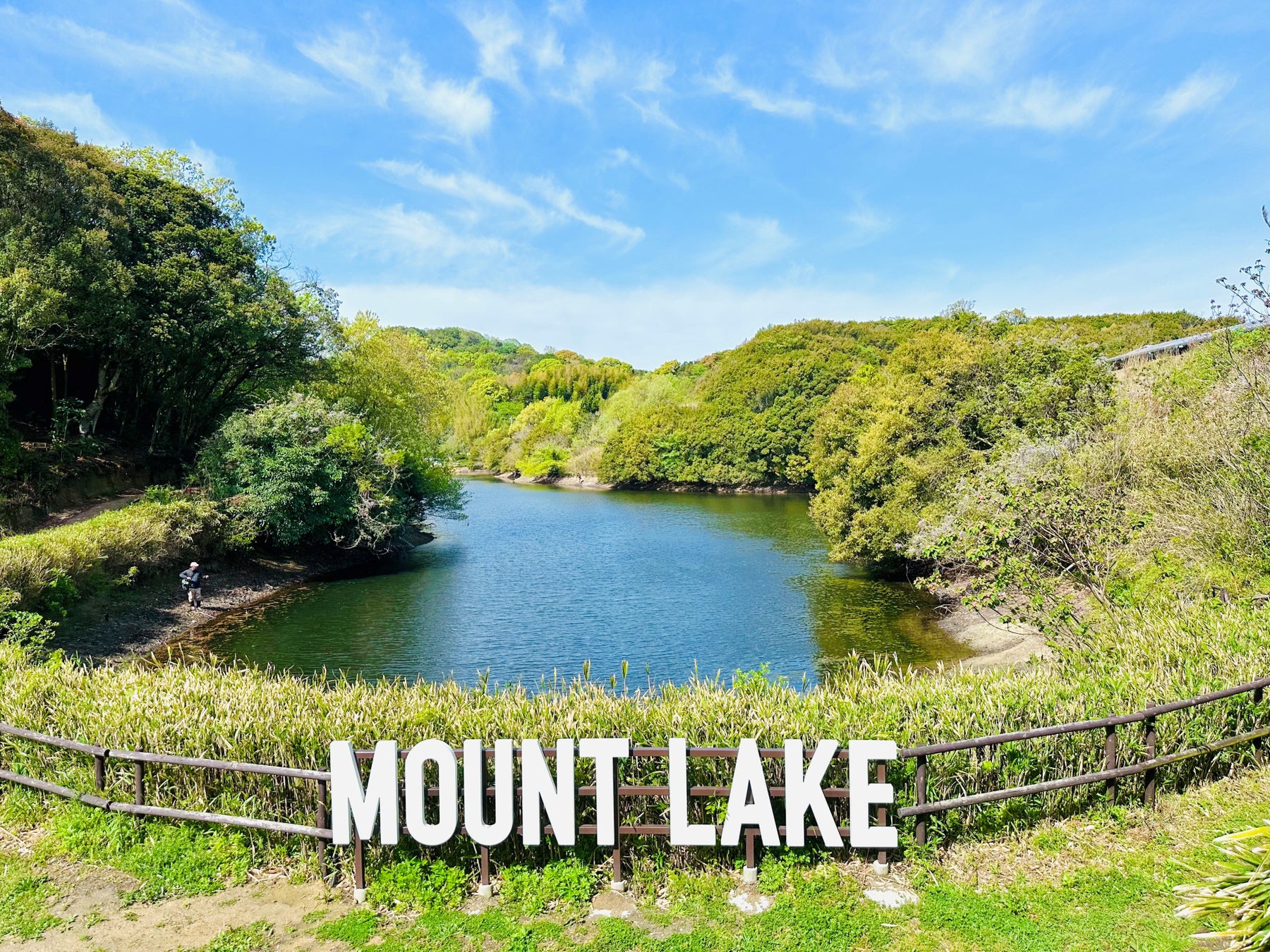 空港バス『成田シャトル池袋線』を8月1日より増便します ~お客様の声をもとに、移動をもっと便利に!~