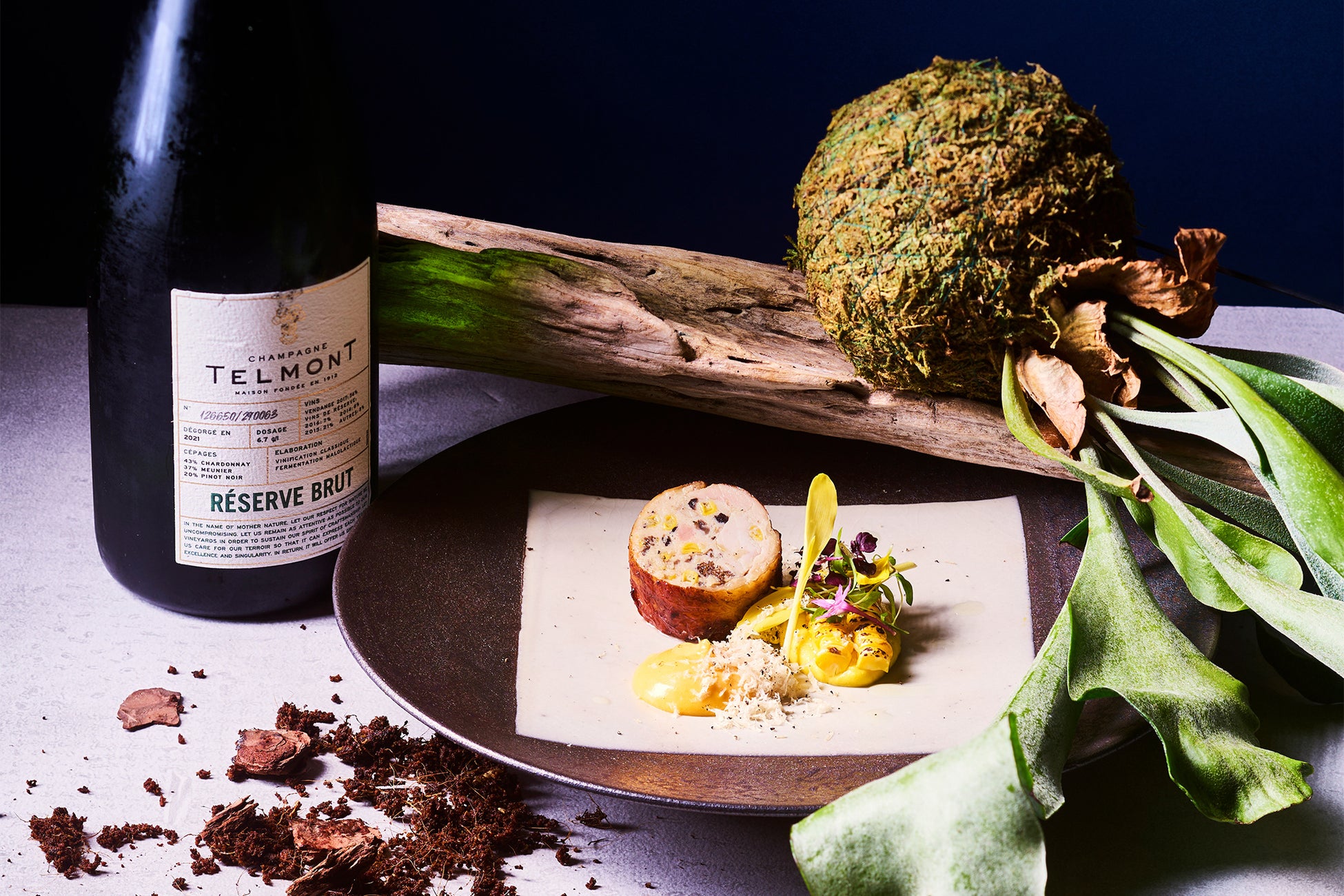 山陰地方初!島根県出雲市の地域経済を「旅先納税®」で活性化 デジタルで地域の課題を解決する「e街プラットフォーム®」を提供