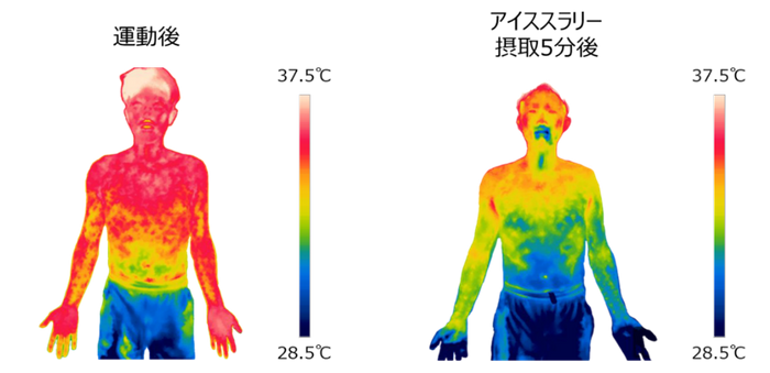 【北海道 東川町】保養施設「キトウシの森きとろん」 7月20日から町民向けプレオープン!