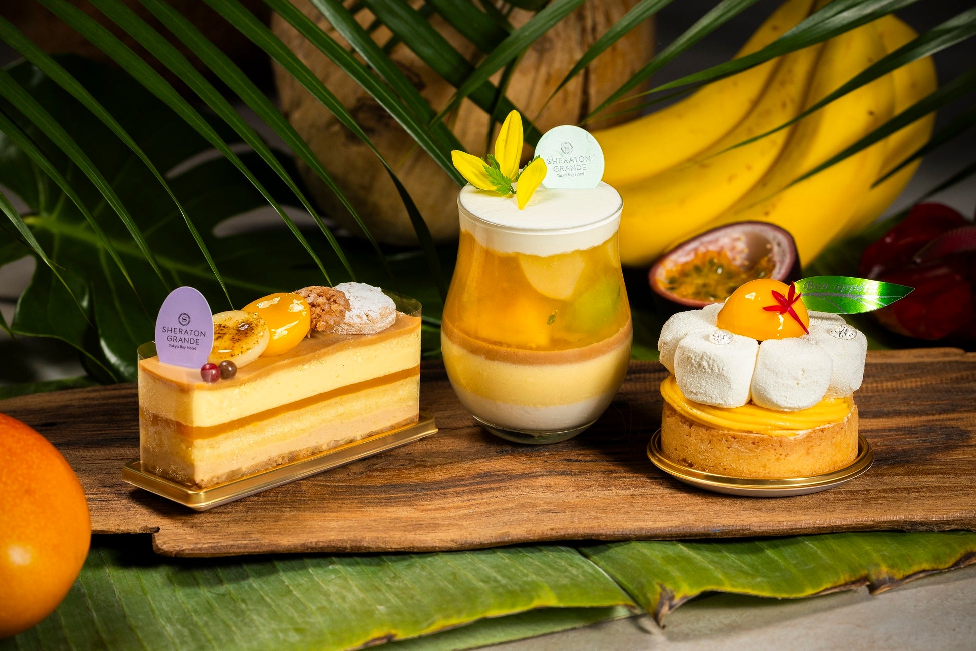 立教大学×日の丸自動車興業・スカイホップバス　　学生が企画したナイトタイムエコノミーに貢献するバスツアーを発売