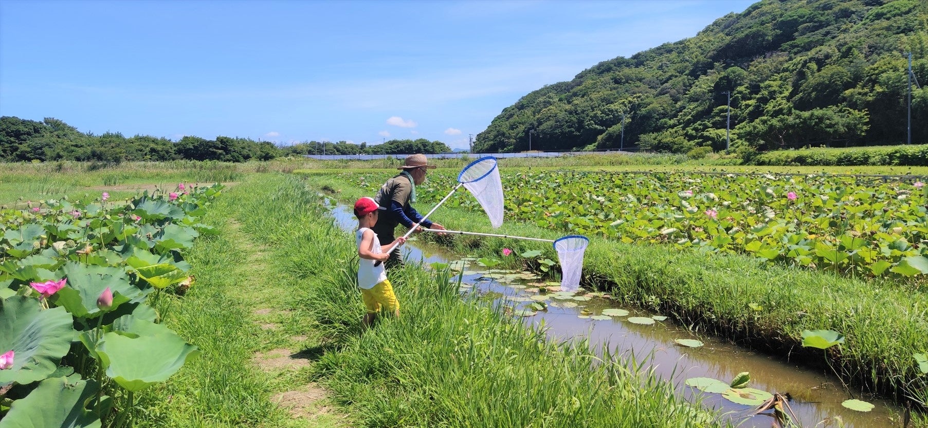 8月25日(金) 限定　お一人様￥7,800-〈JR高槻・枚方・河内磐船発着・添乗員付きバスで行く〉 羽曳野でハモも入った会席料理と河内ワインで試飲と農作物を買いに行こう　シャインマスカットお土産付き