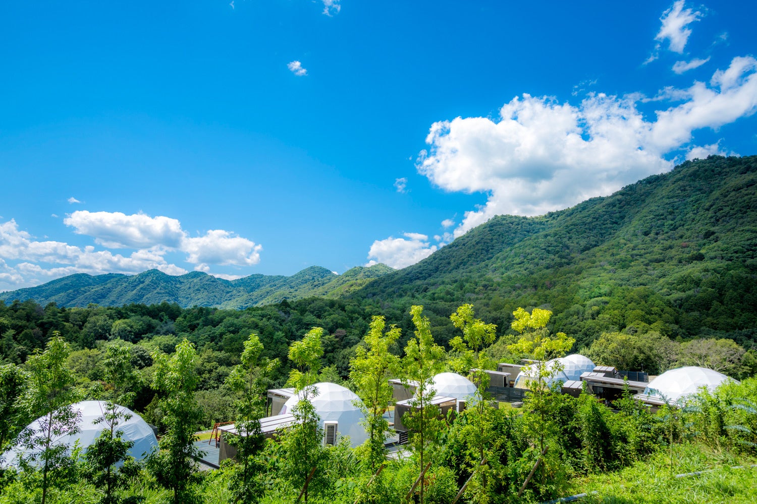 静岡県・伊東温泉海の花火大会が7月22日から
伊豆最多17回、最大4夜連続で開催！