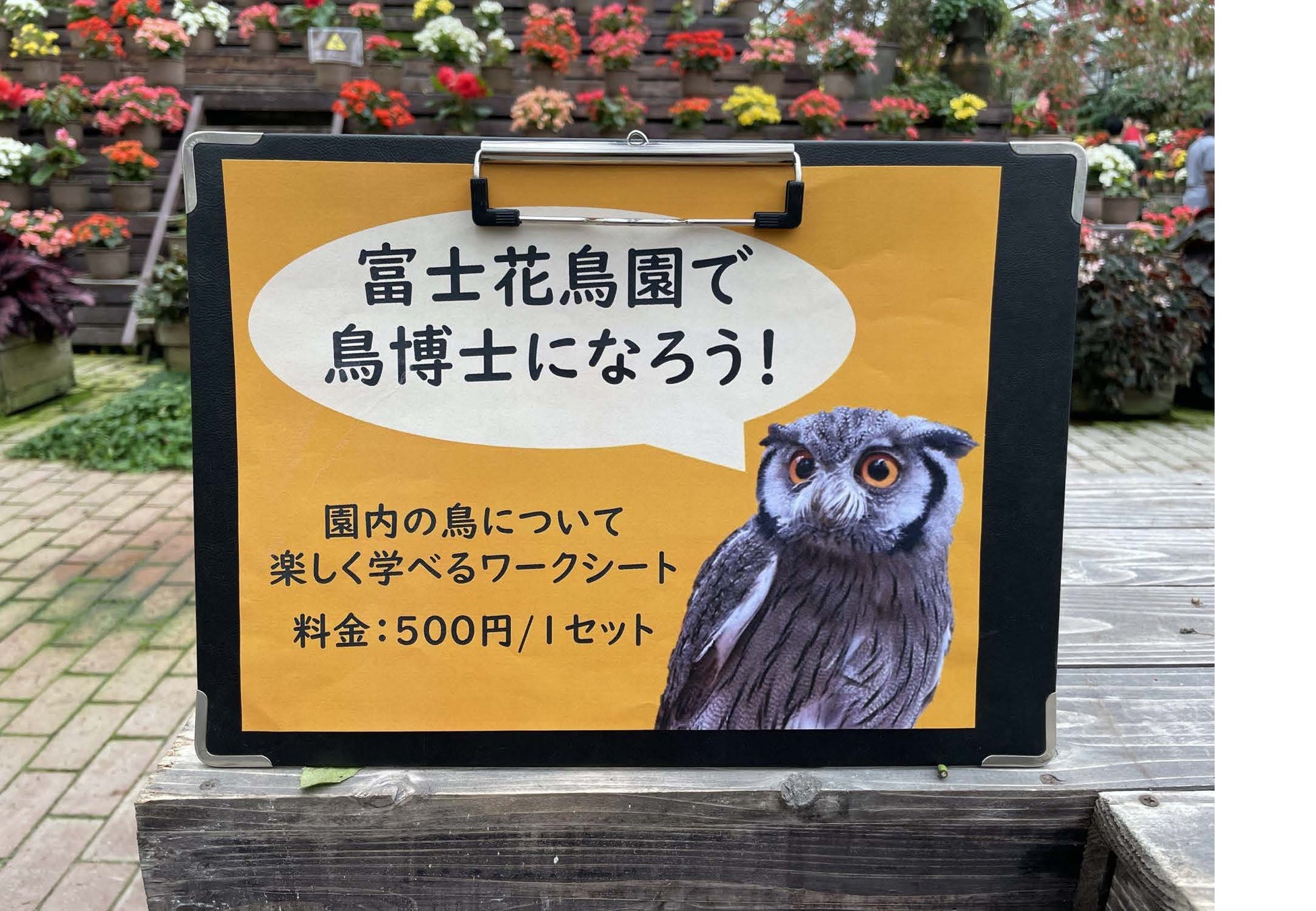 なにわの日プロモーション開催！大阪のためのドメイン「.osaka」を通常料金の55%オフでご提供