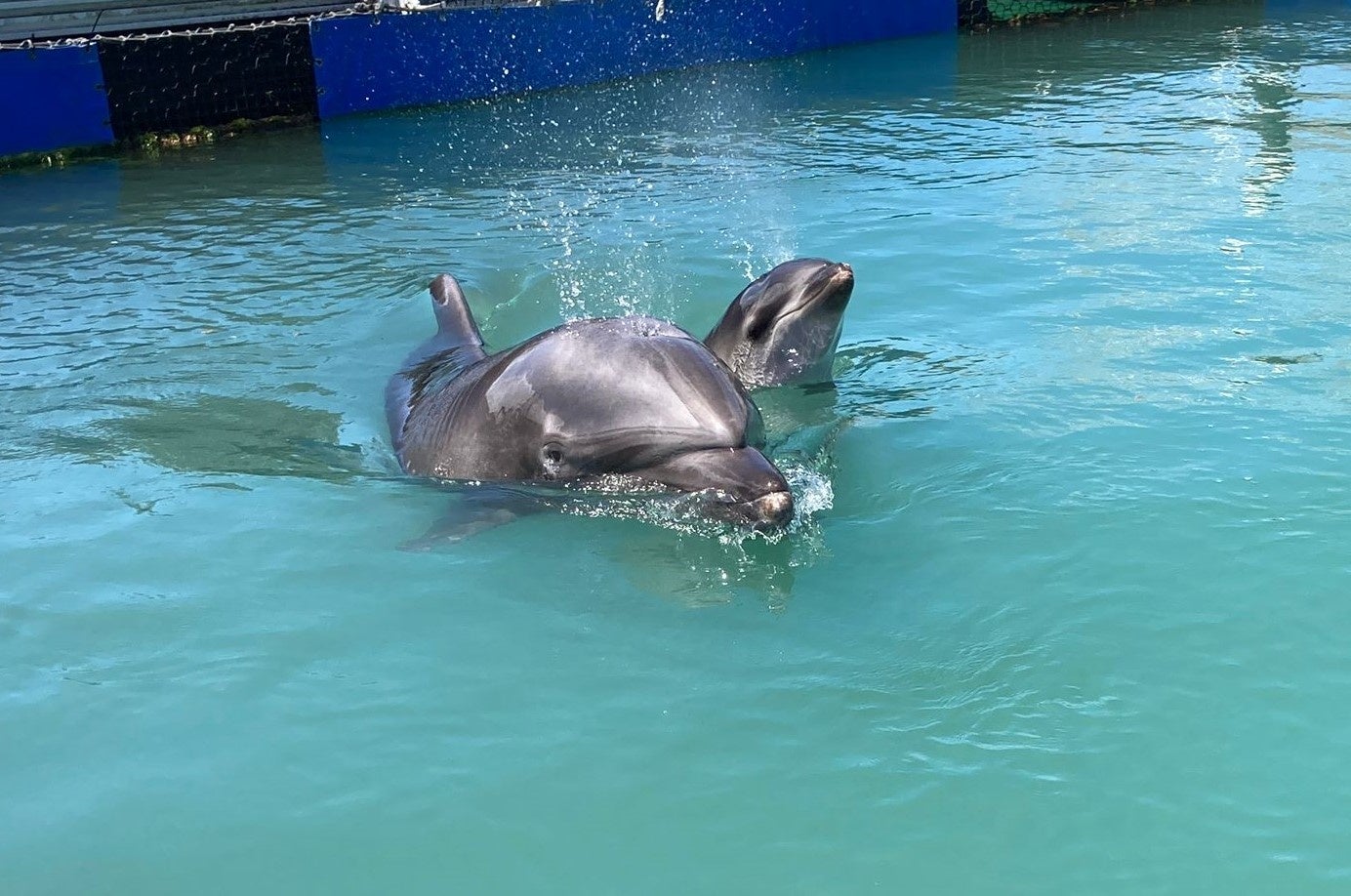 【8月5日OPEN特別セール】海を眺めるグランピングリゾートで、オープン直前の7日間限定超割引クーポン配信！