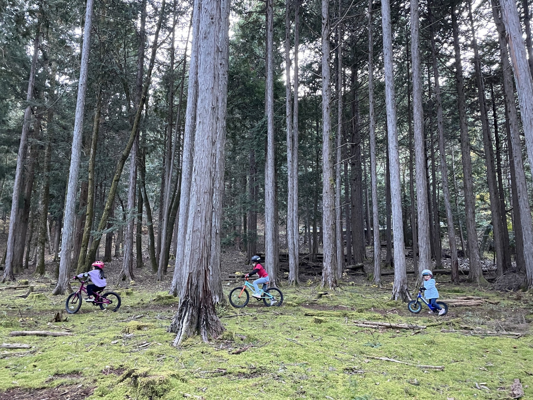 登山地図アプリ「ヤマレコ」、御嶽山において、火山災害から登山者を守るための実証実験を開始