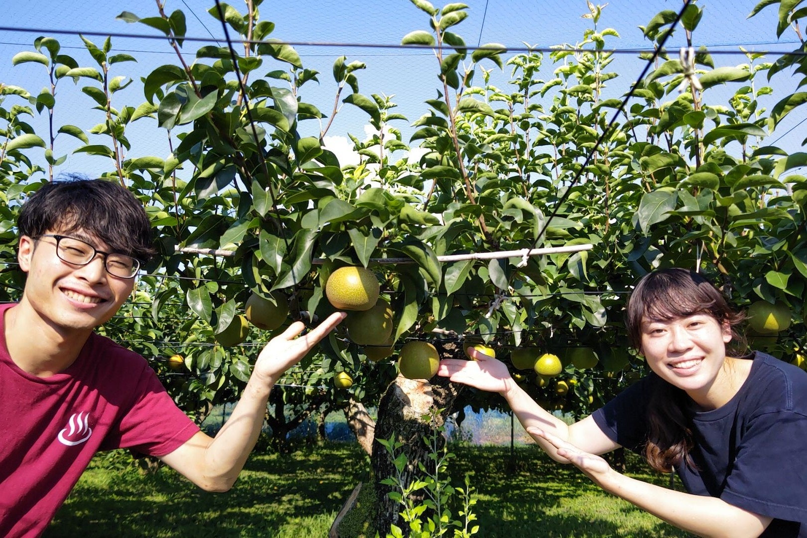 【神戸メリケンパークオリエンタルホテル】テラスレストラン「サンタモニカの風」を18年ぶりに大規模改装し、豪華客船での優雅な食体験をイメージした空間へ刷新