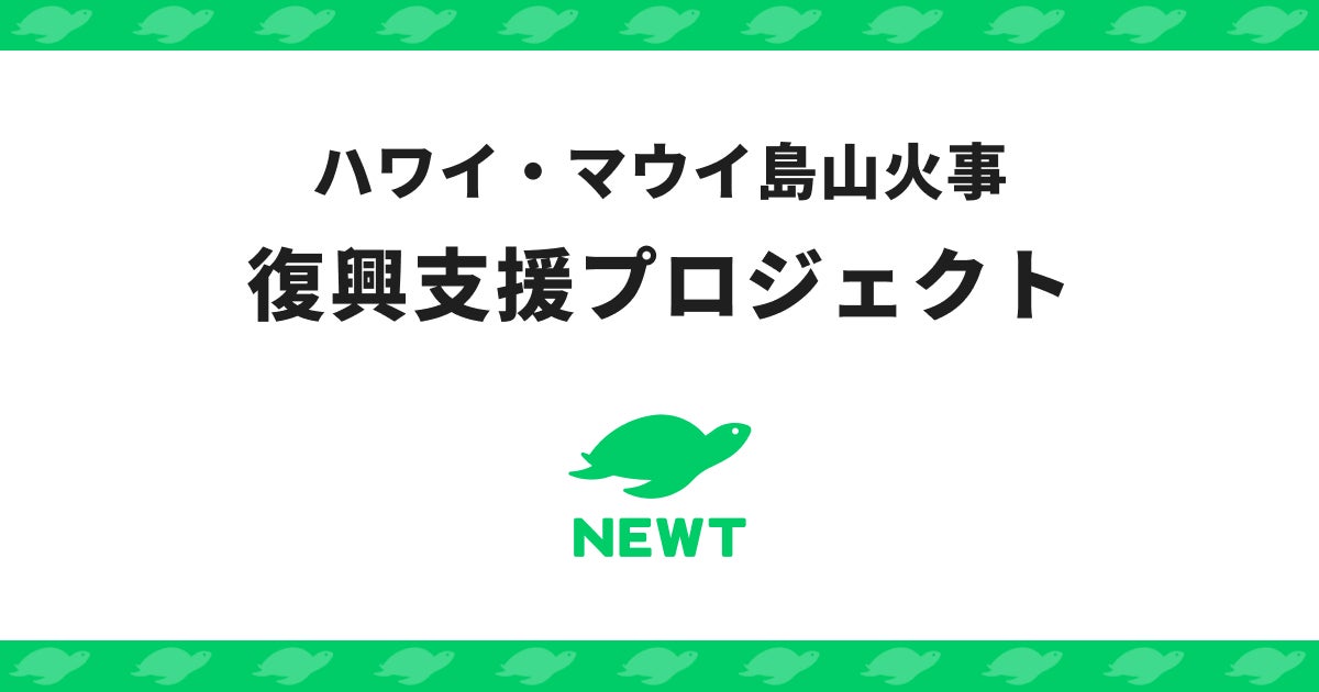 【ポータブル電源が当たるプレゼントキャンペーン】ALLPOWERSポータブル電源S300を2名様にプレゼント！8月２0日まで簡単応募！