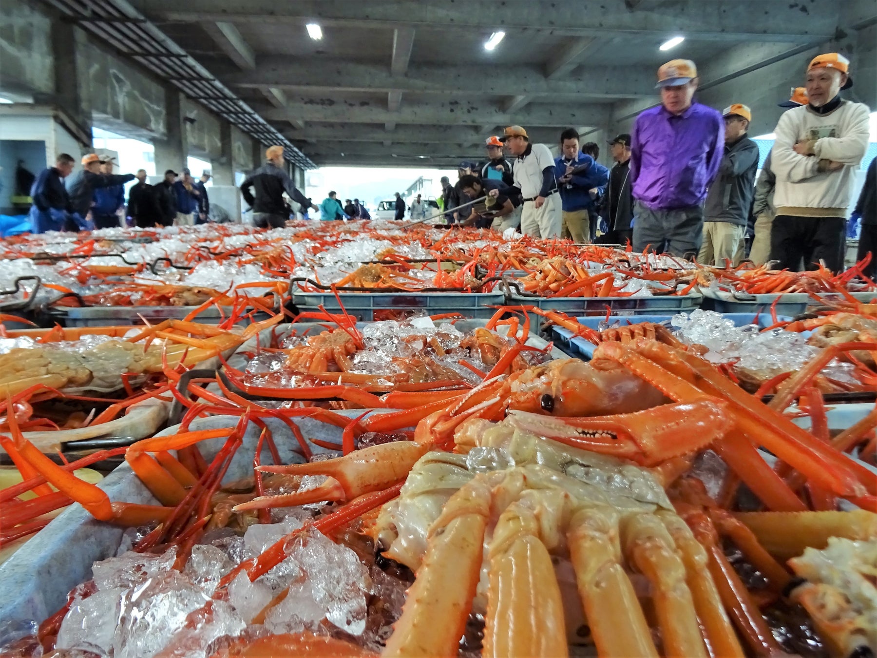 【星のや京都】自然の移ろいに触れ、身も心も悦ぶ会席料理「嵐峡の滋味」夏メニューの提供を開始｜期間：2023年8月1日～31日