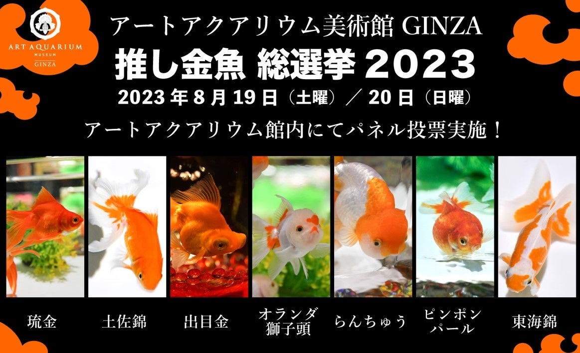 渡し船でしか行けない「ヒリゾ浜」へ南伊豆在住ガイドがご案内休暇村南伊豆 「ヒリゾ浜でシュノーケリング体験」を９月１日より実施～伊豆の秘境でシュノーケリング体験してみませんか？～