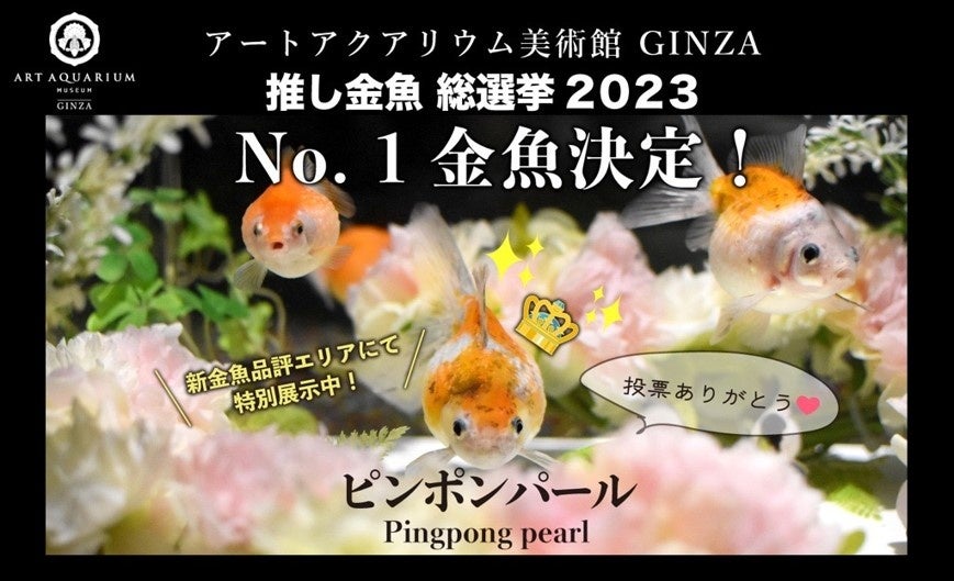 【ザ・リッツ・カールトン福岡】九州の豊かな自然の恵みを五感で体験する３つのシグネチャートリートメントが誕生