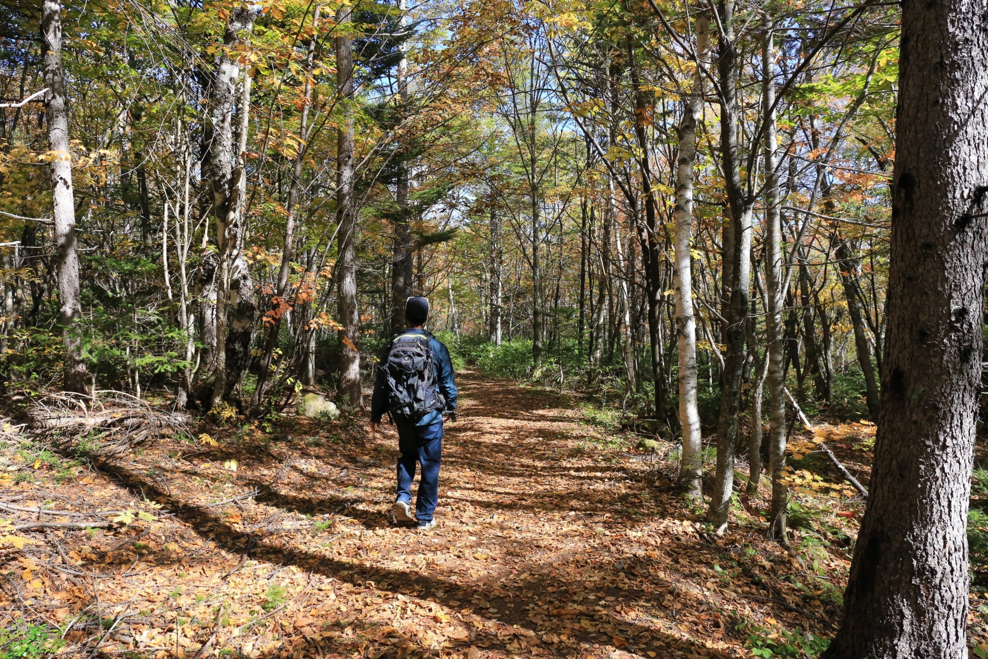 関水渚さんが、自然と文化が調和するまちを旅しました「旅色 FO-CAL」国立市・国分寺市・小金井市特集公開