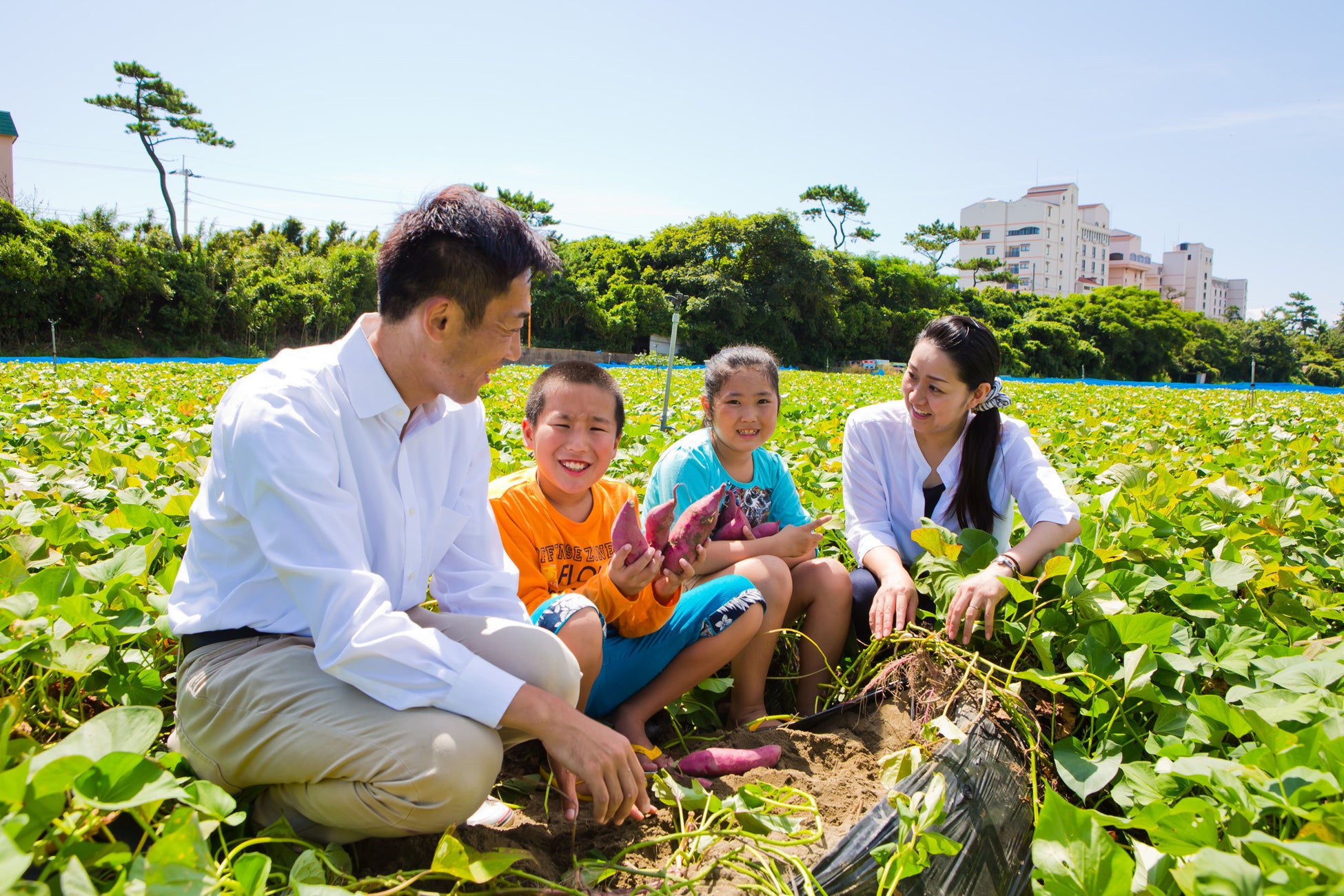 【9/3(日)開催】大子町にはたらくくるまが大集合！もりのきかい体験会