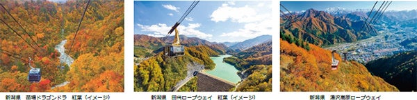 RV生活！キャンピングカーで旅に出よう！