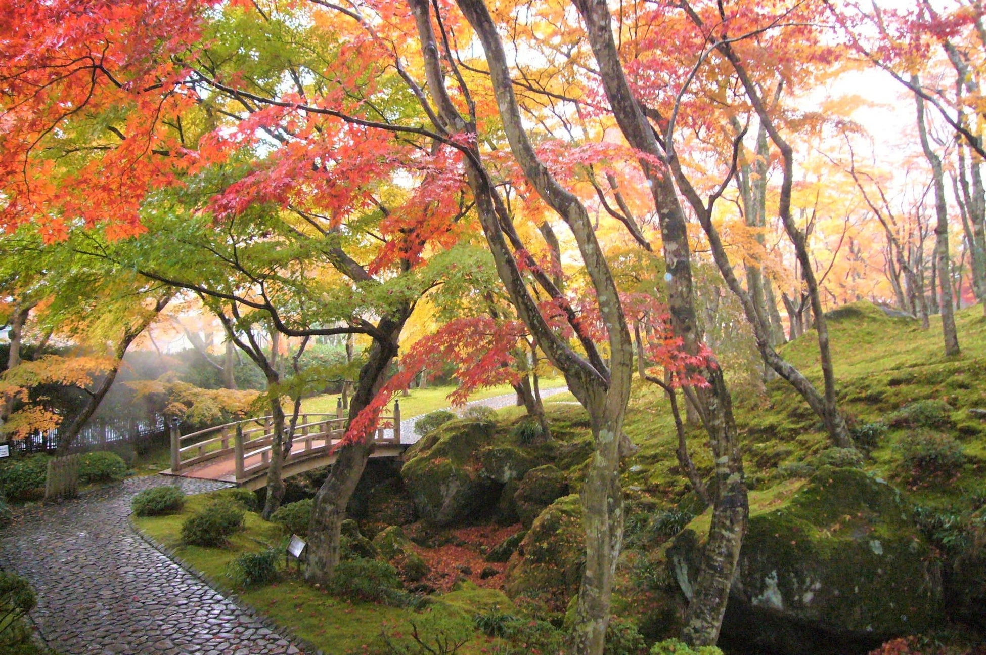 【九州発団体ツアー】秋の紅葉旅！東京九州フェリー利用♪日光東照宮と華厳の滝＆いろは坂