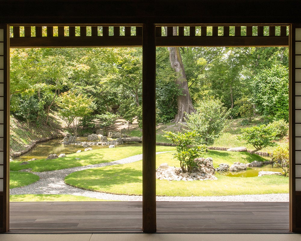 六甲高山植物園 市街地より一足早い秋の訪れ 紅葉見頃 10月中旬～11月中旬 ライトアップも開催！