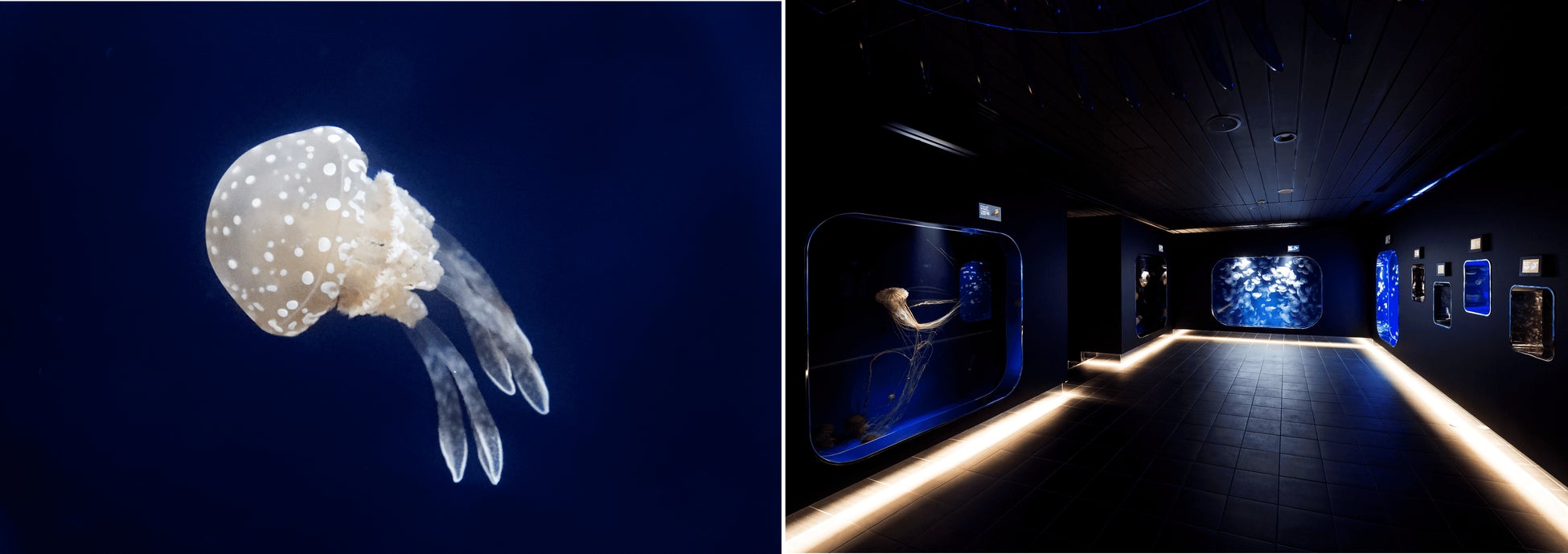 9/12 運命のドラフト会議を生配信！山形ベストインフルエンサー決定戦