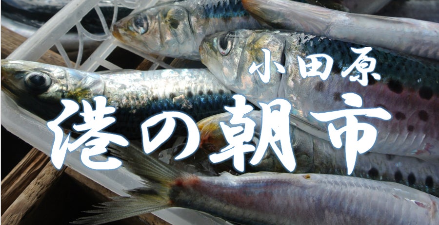 ガメラ、復活――。9/9(土)~『GAMERA -Rebirth-』テイクアウトカフェが秋葉原のCURE MAID CAFÉで開催!【タブリエ・マーケティング株式会社】