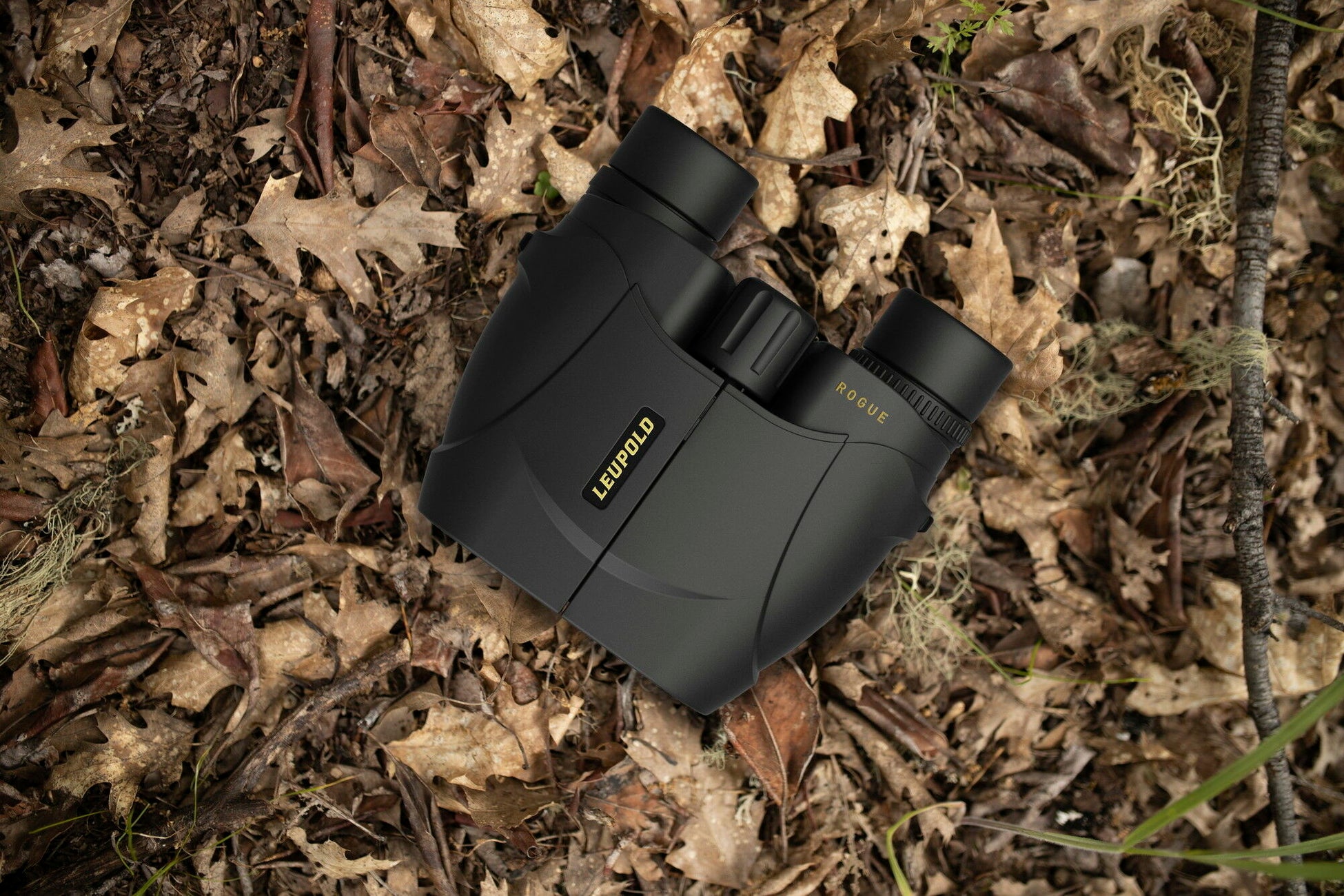 AI×旅行『AVA Travel』が福井県「CO-FUKUI 未来技術活用プロジェクト」に採択