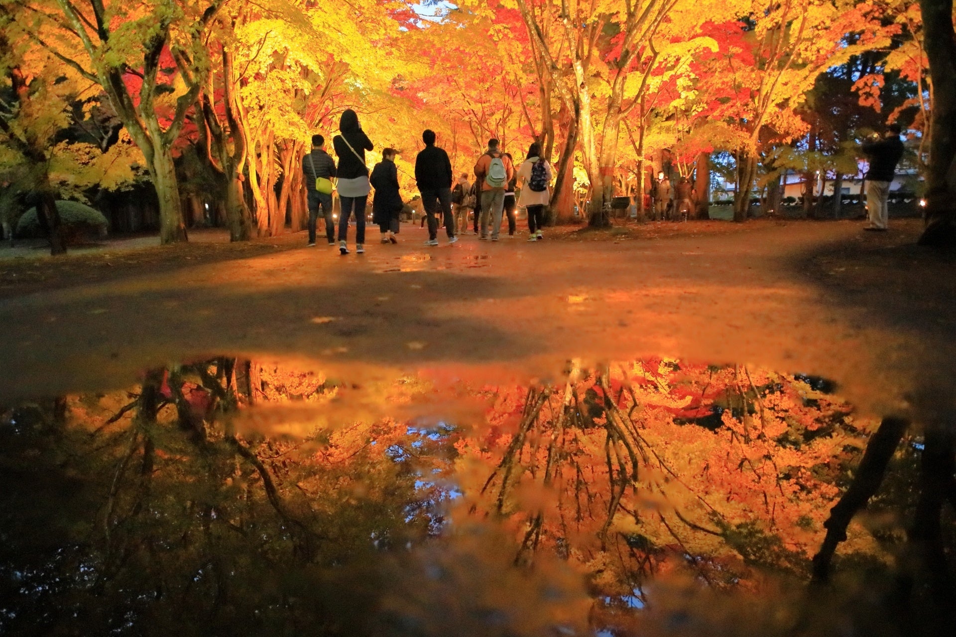 京都の世界遺産 仁和寺にて新たな限定切り絵御朱印『秋の仁和寺～花鳥風月』の授与開始