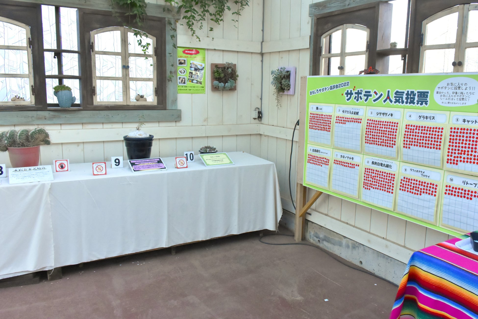 伊豆シャボテン動物公園にて「第10回おもしろサボテン品評会」開催