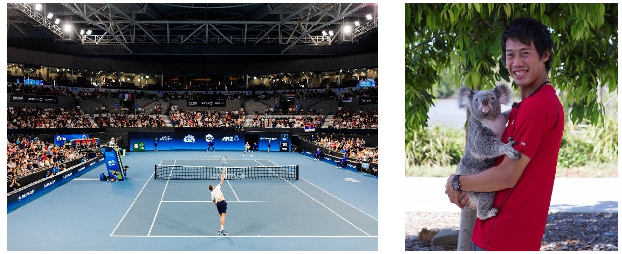 ～オーストラリア北東部、クイーンズランド州～　テニスの国際大会、ブリスベン国際が4年ぶりに復活！ブリスベンの最新情報とおすすめスポットを紹介