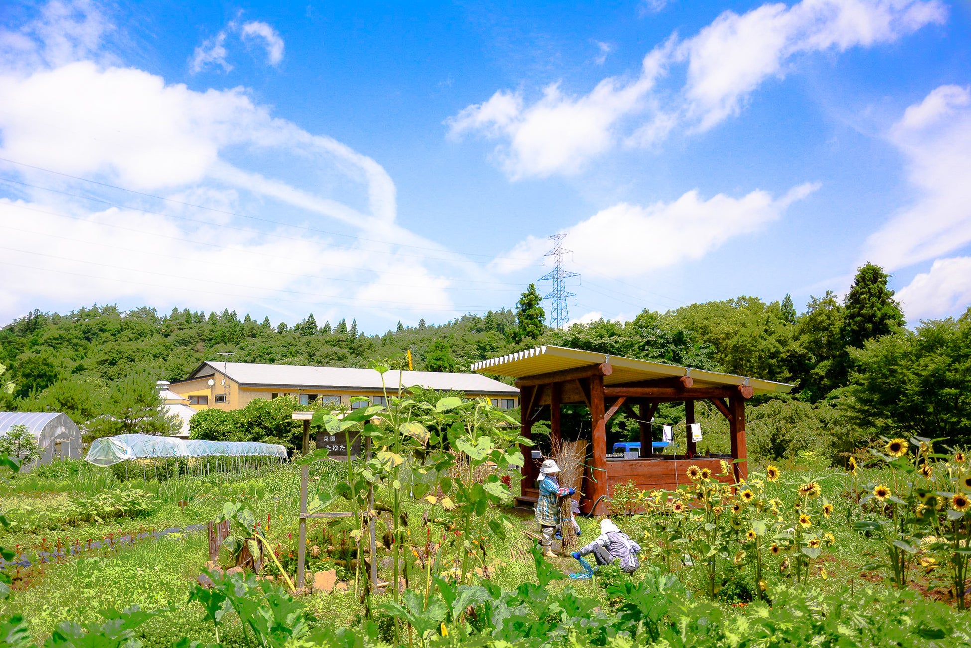 【日本一の星空】長野県阿智村×GOOPASS　「星空の聖地 浪合パーク」にて『星空撮影ミーティングby＜成澤広幸＞』開催決定