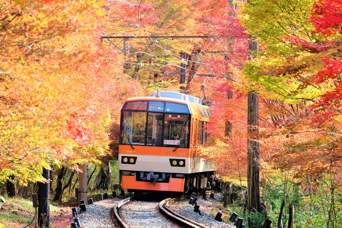 11月3日（金・祝）～26日（日）に「京の奥座敷・貴船もみじ灯篭」 を開催します