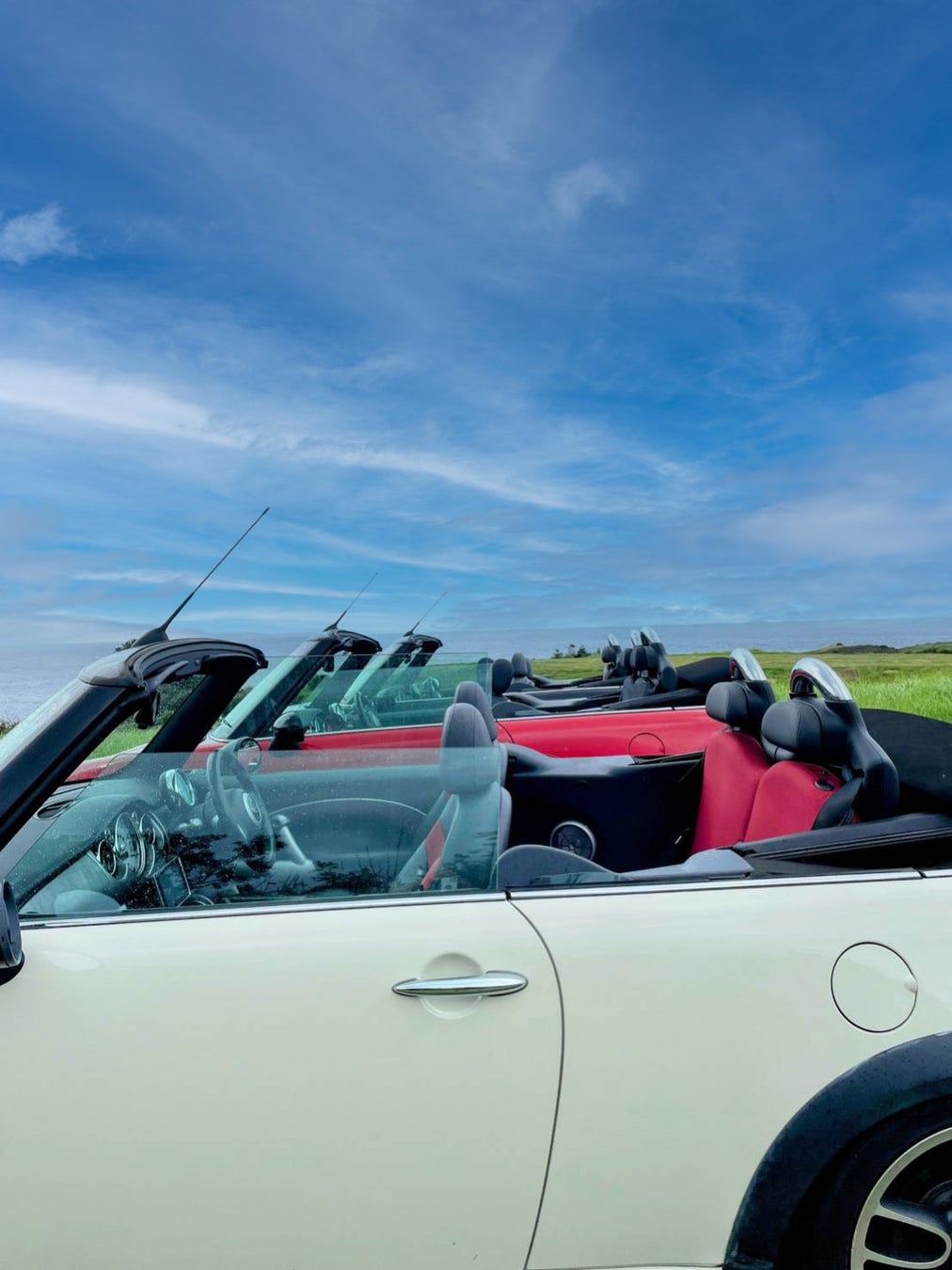 那須ハイランドパークで、10月29日にドッグマルシェ「アンドドッグフェス」を開催!