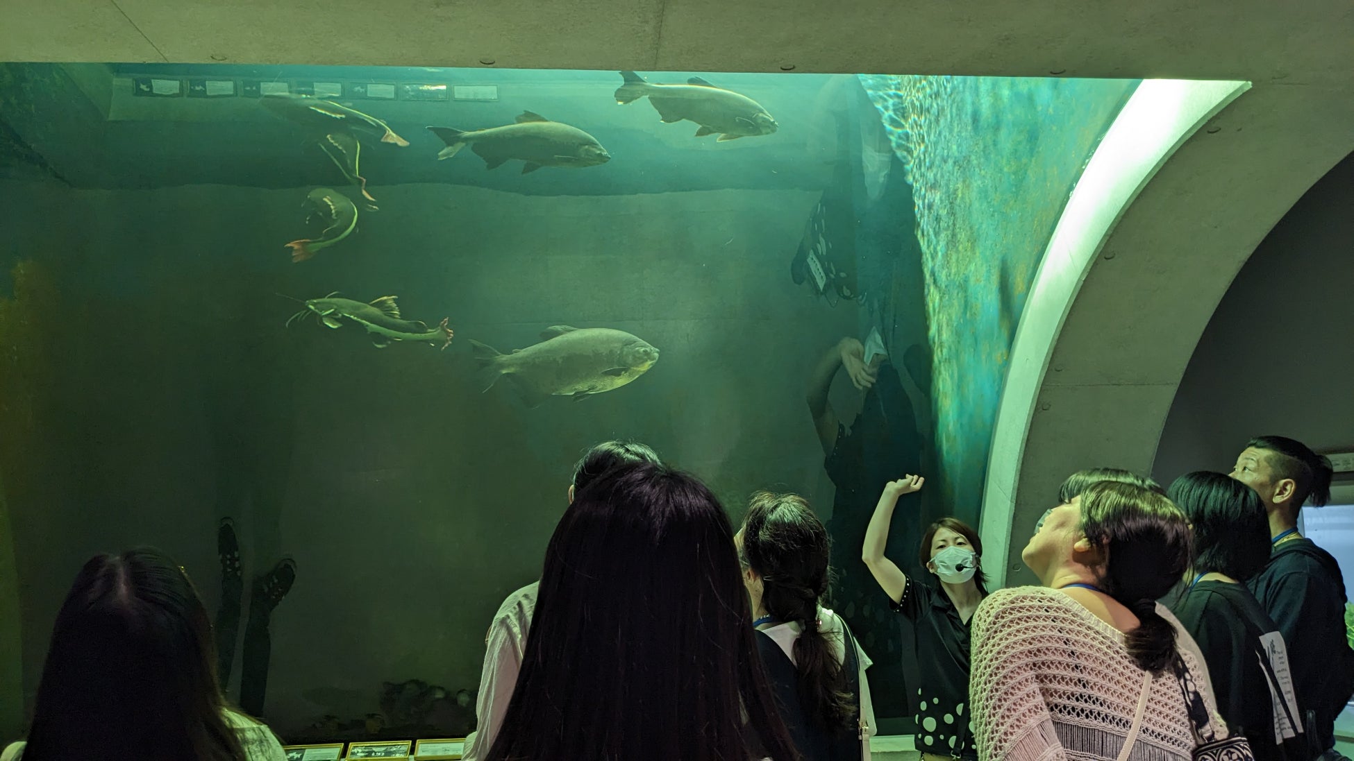 【大阪マリオット都ホテル】あべのハルカス美術館にて開催の「コシノジュンコ 原点から現点」とのコラボレーションメニューが登場