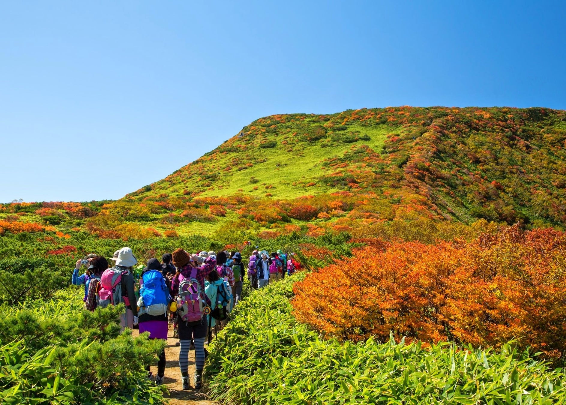 山燃ゆる秋到来 秋の那須高原が紅葉の見頃を迎える